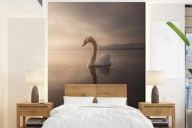 Nr1Wallpaper Behang - Fotobehang Zwaan - Water - Wolken - Breedte 190 cm x hoogte 260 cm