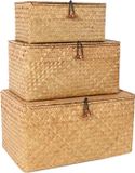 Panier à étagère sans marque avec couvercle pour décoration intérieure - Paniers de rangement en herbe marine - Boîte organisatrice rectangulaire tissée en rotin naturel