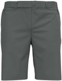 Odlo Ascent Light Korte Broek Grijs 54 Man