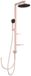 Ideal Standard ALU+ Doucheset - Rosé - 26 cm Diameter - 2 Jets