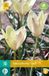 JUB - Tulipa Honky Tonk, 8 bloembollen