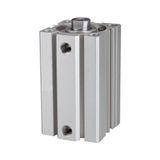 RIEGLER 115132-12.DMI.50050 korte cilinder, ACQ, dubbelwerkend, zuiger-Ø 50, hub 50, G 1/4, 1 stuk