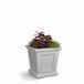 MAYNE Planter, Wit