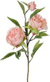 Top Art Kunstbloem pioenroos Spring Dream - licht roze - 73 cm - kunststof