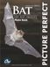 Bat: Picture Perfect Photo Book