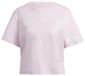 adidas Brand Love Graphic Tee dames T-shirt