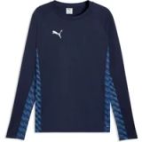 Puma Langarmshirt TeamLIGA26