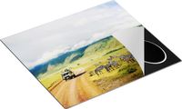 Chefcare Inductie Beschermer Safari Auto tussen de Zebra's - 57,6x51,6 cm - Multicolor - Vinyl