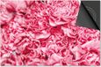 Dietrix Inductie Beschermer - Flowers 17 - Pioen zachtroze - 71x52 cm