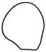 Gasket, Icecat Gasket, water pump