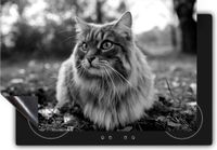 Chefcare Inductie Beschermer Kat met Groene Ogen - Zwart Wit - 95x55 cm