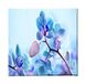 Homemania Wandfoto, bloemen, natuur, voor woonkamer, slaapkamer, meerkleurig, 60 x 3 x 60 cm, HM20KNV60 x 60 – 18, polyester, hout