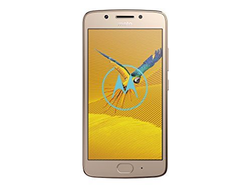 Motorola Moto G5 Smartphone (12,7 cm (5 inch), 2 GB RAM/16 GB, Android) Fine Gold