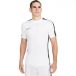 Nike T-shirt Dri-FIT Academy 23 BR