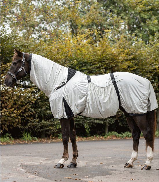 Waldhausen Eczeem deken 195 Zilver Grijs