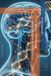 THE SAFETY BIOHACKER: Trattato Integrale di Biosicurezza