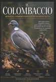 Il Colombaccio: Biologia, Comportamento e Tecniche di Caccia