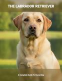 The Labrador Retriever: A Complete Guide To Ownership