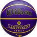 Wilson NBA Player Icon Outdoor Basketbal - Lebron