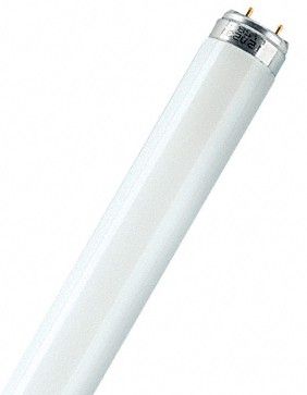 Osram L36W/840 - Fluorescente lamp - 3350 lumen - 4000 kelvin - G13 - 36 watt - 18000 uur