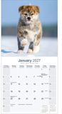 Avonside Akita Kalender 2027