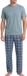 Ammann Heren pyjama Mix & Match Korte mouw Effen 100% Katoen Goblin Blue S