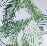 Raamfolie Venilia Raamfolie statische vitrostatische palmbladeren, privacyfolie, melkglasfolie, ruit folie, folie voor douchecabine, glasdecoratiefolie, transparant, 45cm x 1,5m, 200µm (dikte: 0,2mm)