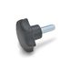 Ganter Normelemente GN 6336.4-ST-25-M5-10 4-ST-25-M5-10 stergreepschroeven, zwart, mat, schroefdraadlengte l1: 10 mm, 20 stuks