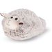 4KidsOnly Noxxiez voetenwarmer - schaap