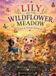 Lily The Adventures of Lily & Friends- Lily and the Wildflower Meadow