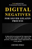 Digital Negatives for Silver Gelatin Process