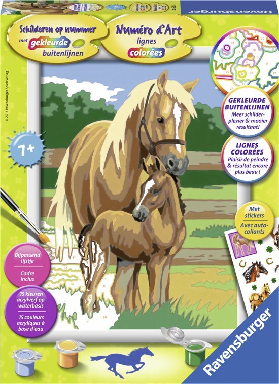 Ravensburger schilderen op nummer paardenliefde