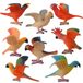 Merkloos Papegaai speelgoed vogelfiguur - Set van 8 - Educatief - Voor poppenhuis en taart