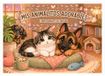 MIS ANIMALITOS ADORABLES: LIBRO PARA COLOREAR