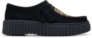 CLARKS Schnürschuhe Torhill Bee Zwart-bruin Leer/Textiel Veters