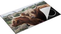 Chefcare Inductie Beschermer Twee Schotse Hooglander Koeien - 90x55 cm - Multicolor