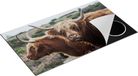 Chefcare Inductie Beschermer Twee Schotse Hooglander Koeien - 90x55 cm - Multicolor