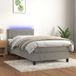 Maison Exclusive - Boxspringbed met matras en LED-verlichting, grijs, 100x200 cm, fluweel