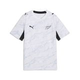 PUMA Functioneel shirt 'Neuseeland' grijs / zwart / wit