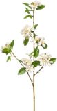 Emerald Kunstbloemen Kersen bloesems - 90 cm - wit