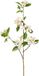 Emerald Kunstbloemen Kersen bloesems - 90 cm - wit