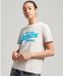 Superdry Vintage Logo T-shirt van biologisch katoen met kraag en tekst - Dames - T-shirts