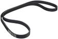 CONTITECH 5PK1334 V-riem