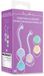 Shots BV Kit de Kegel Vibrant et 5 Poids Interchangeables avec Télécommande - Violet