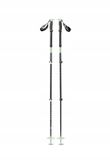 Black Diamond Expedition 3 Skitourenski stokken 125cm noir/vert