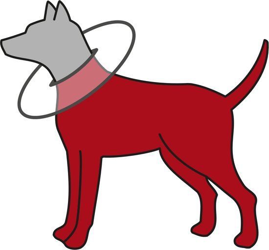 Trixie Beschermkraag Schuimrubber Grijs - S - 30-34 cm x 19,5 cm