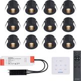 HOFTRONIC Betty LED Mini Inbouwspots Set van 12 met Trafo en Muurdimmer - Zwart