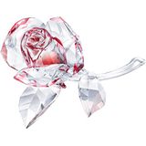 Swarovski Bloeiende Roos Rood 5428561
