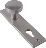 AMI Bouton 169/50 Aveugle F1 Plaque courte Aluminium Argent