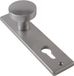 AMI Bouton 169/50 Aveugle F1 Plaque courte Aluminium Argent